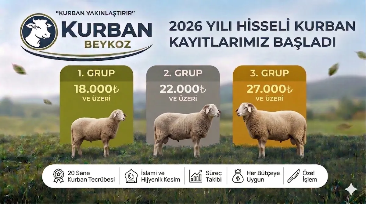 Beykoz Küçükbaş Kurbanlık - Koyun ve Keçi Seçenekleri